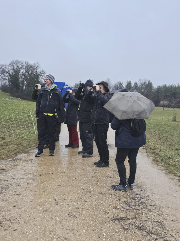 Oben in der Hecke tut sich was...