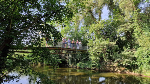 Über 7 Brücken musst du gehn...