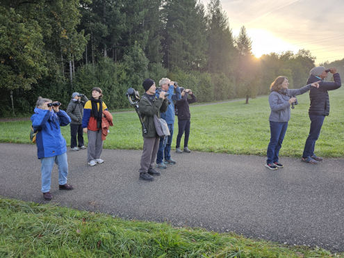 Dort fliegt ein Buntspecht