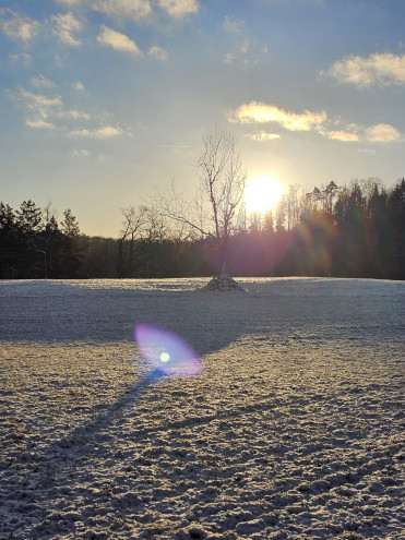 Perfekter Wintermorgen