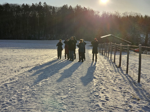 Beobachten der Vögel in unserer Hecke