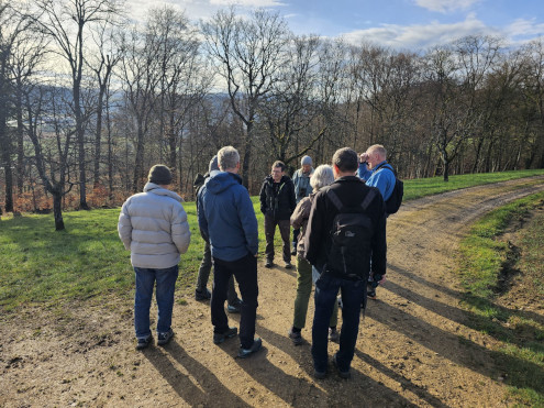 Geniessen der Morgensonne