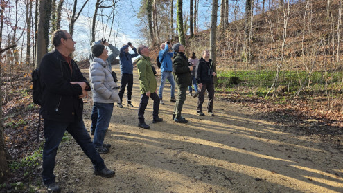 Die Suche nach einem trommelnden Buntspecht