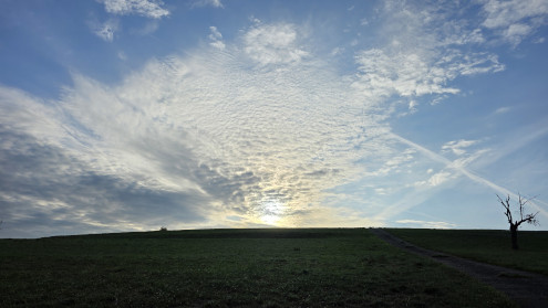 Morgenstimmung auf dem Weg zur Murenberghöhe