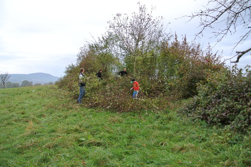 Kantonaler Naturschutztag, Bubendorf, 25.10.2014