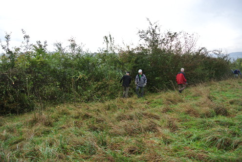 Kantonaler Naturschutztag, Bubendorf, 25.10.2014