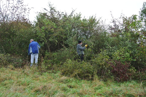 Kantonaler Naturschutztag, Bubendorf, 25.10.2014