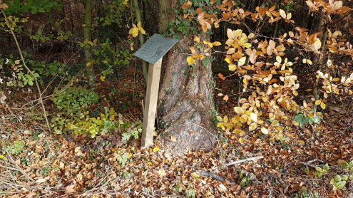 Frisch gereinigte Tafel des Naturlehrpfades