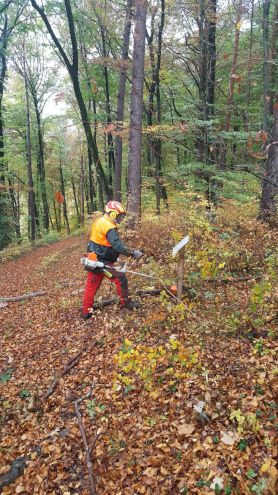 Ausmähen einer Tafel des Naturlehrpfads