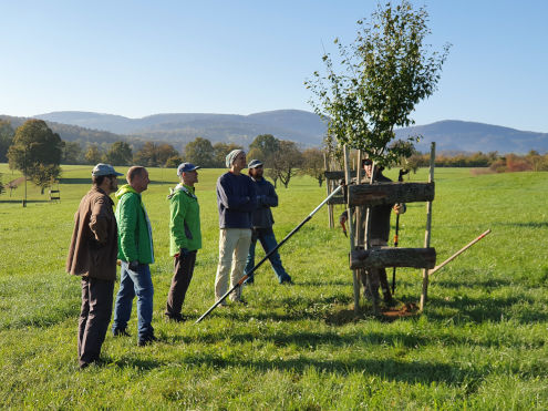 Föif luege zue und eine schafft...