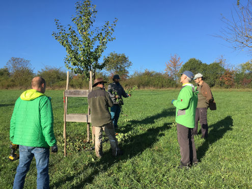 Gruppe Baumschnitt bei der Instruktion durch die Profis