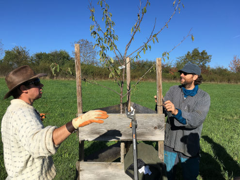 Die beiden vereinseigenen Profis bei der Arbeit