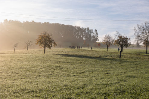 Morgenstimmung auf dem Arbeitsweg Richtung Murenberg