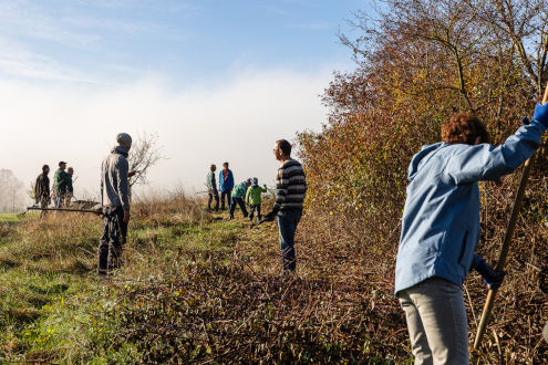 Die Heckengruppe bei der Arbeit