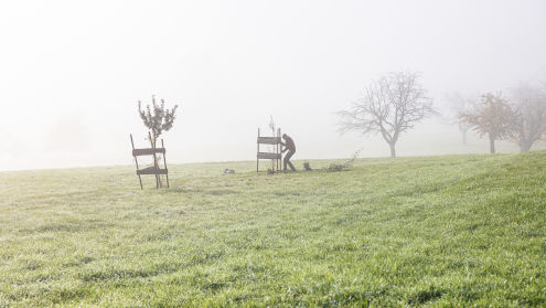 Roland in the mist...