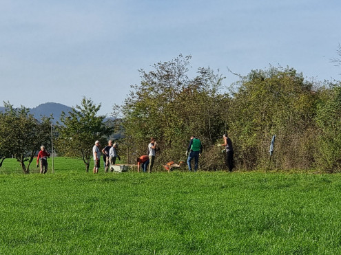 Die Arbeitsgruppe Heckenpflege bei der Arbeit