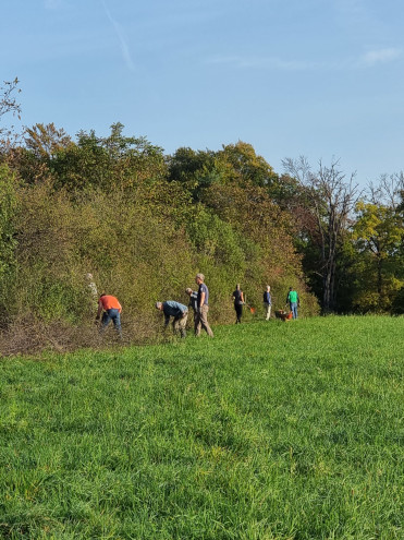 Das Schnittgut wurde zu Asthaufen aufgeschichtet