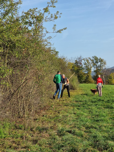 Der Brachstreifen der Hecke wurde von den Strächern befreit