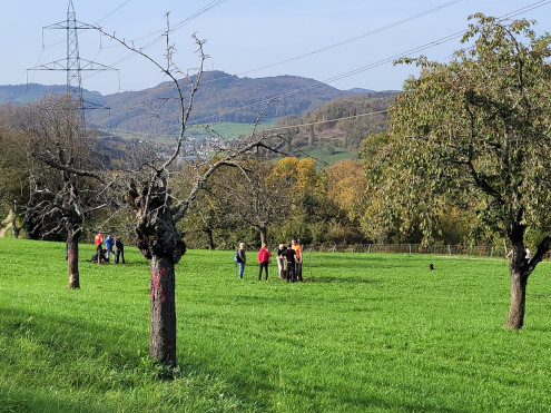 Ein Teil der Arbeitsgruppe Baumpflanzung 