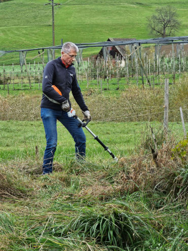 Freischneiden der Sträucher in der Hecke bei der Feldscheune Oberes Talhaus