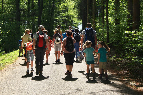 Über 30 Personen machen sich auf den Weg zu den Nistkästen