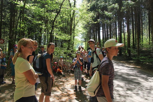 Halt in der Nähe des ersten Nistkastens