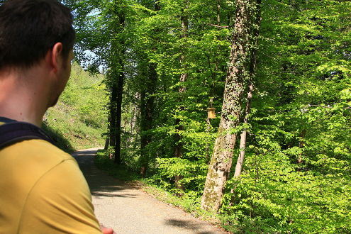 Gespanntes Warten. Ist der Nistkasten besetzt?