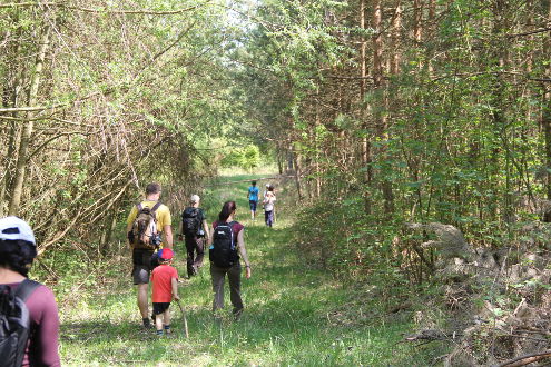 Auf der Suche nach den Nistkästen bei der Schrunggelen