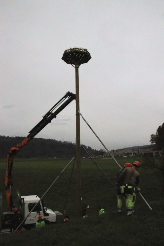 Jetzt nur noch die Stützen entfernen