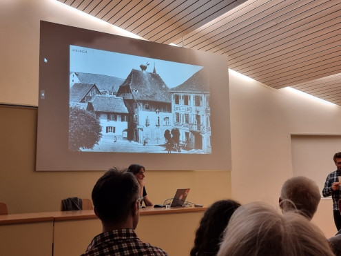 Historische Aufnahme eines Storchenhorstes