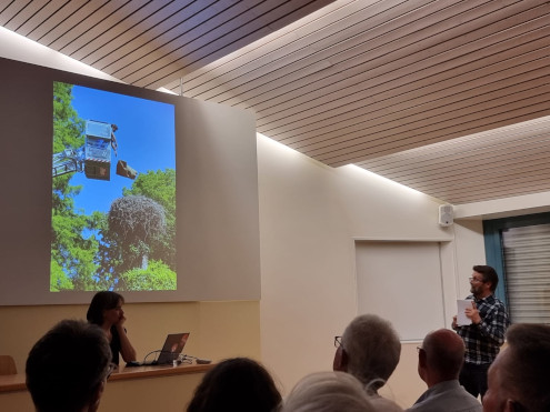 Gewagte Beringung von Jungstörchen