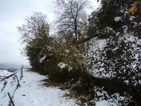 Blick auf unsere Parzelle Süssenberg