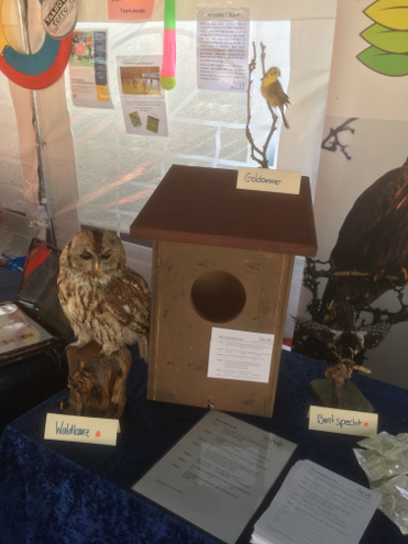 Waldkauznistkasten mit Präparat des Bewohners