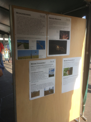 Auf verschiedenen Plakaten stellten wir unsere Tätigkeiten vor