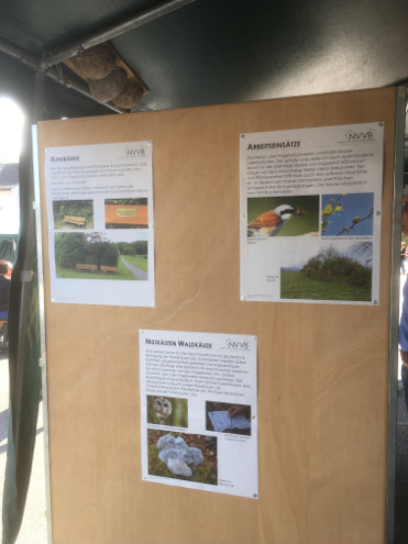 Auf den verschiedenen Plakaten konnten auch die Antworten zu unserem Wettbewerb gefunden werden