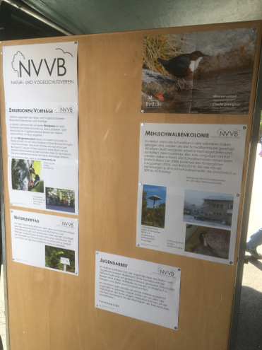 Auch die Wasseramsel (Vogel des Jahres) wurde vorgestellt