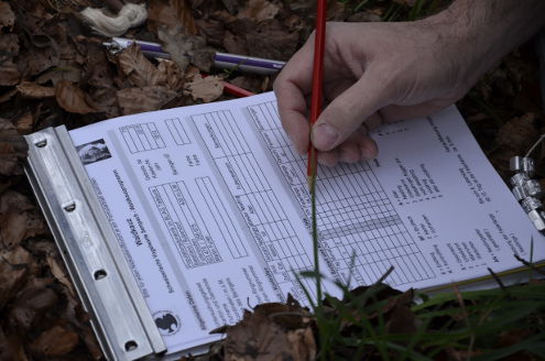 Waldkauzkontrolle 11.04.2015